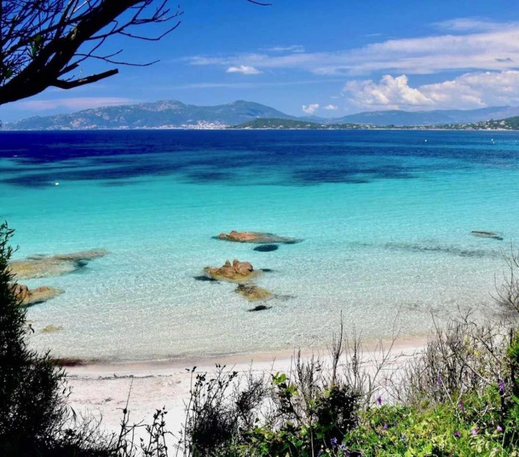 Nouveaute! Magnifique Villa A 2 Minutes Des Plus Belles Plages De La Rive Sud Porticcio (Corsica) Exterior foto